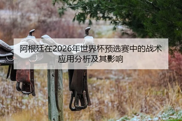 阿根廷在2026年世界杯预选赛中的战术应用分析及其影响