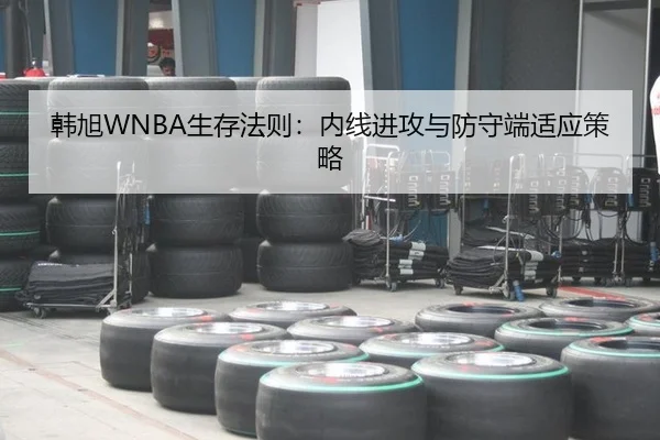 韩旭WNBA生存法则：内线进攻与防守端适应策略