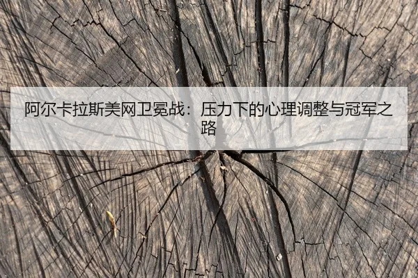 a-er-ka-la-si-mei-wang-wei-mian-zhan-ya-li-xia-de-xin-li-tiao-zheng-yu-guan-jun-zhi-lu-2-210.jpg