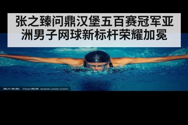 张之臻问鼎汉堡五百赛冠军亚洲男子网球新标杆荣耀加冕